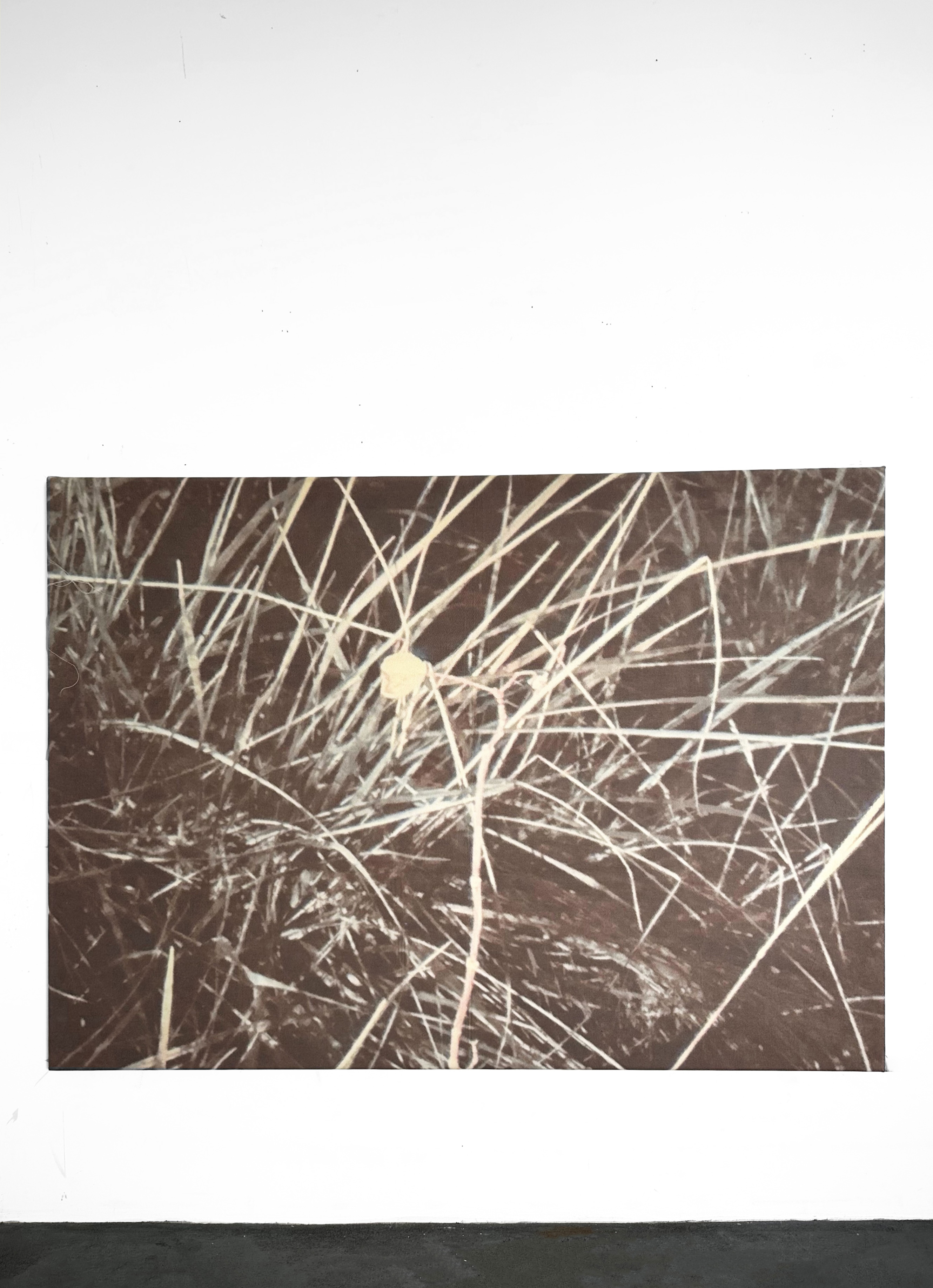 smellgrass