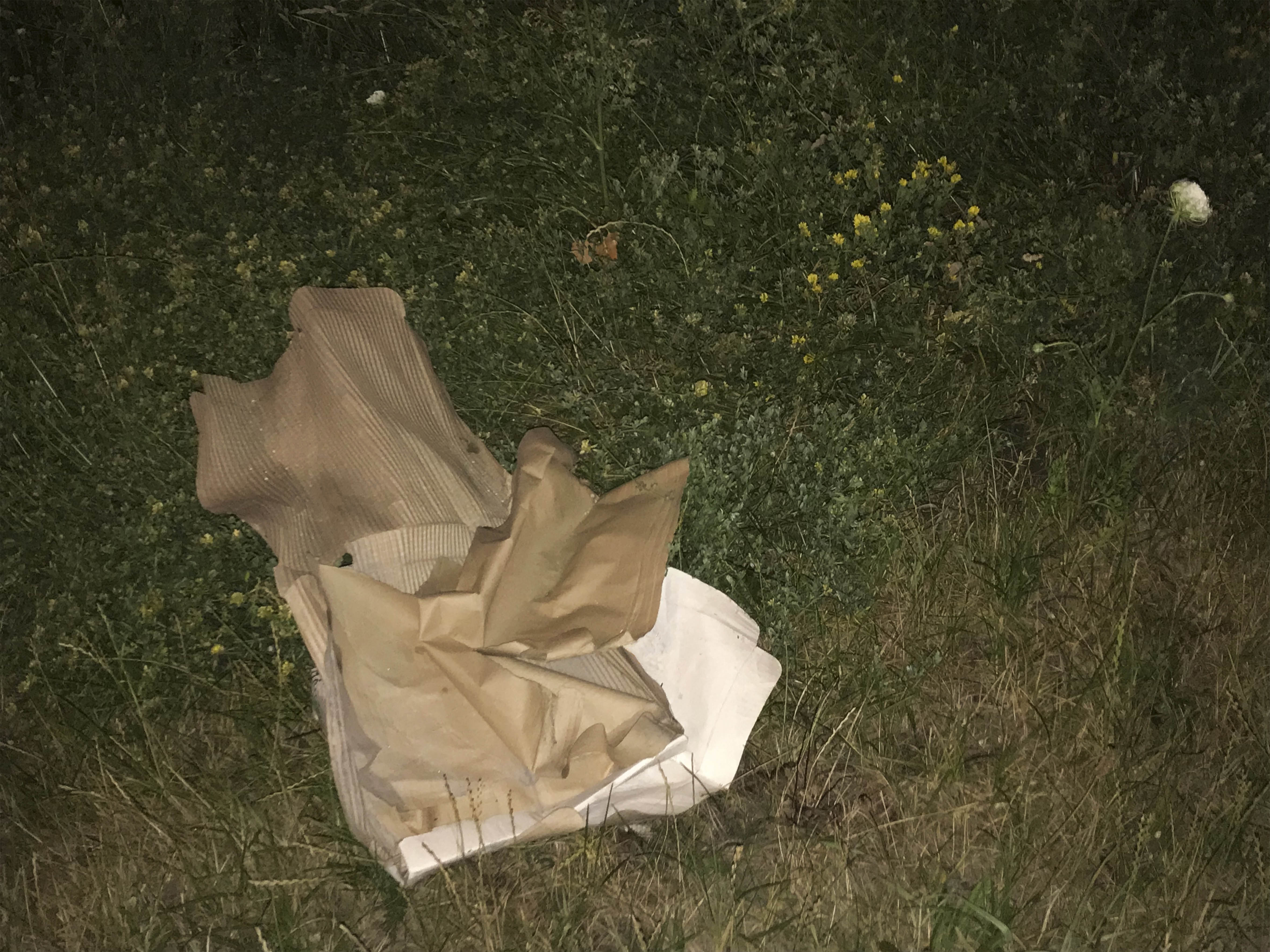 smellgrass