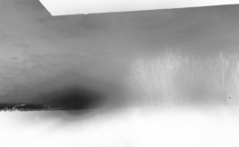 smellgrass